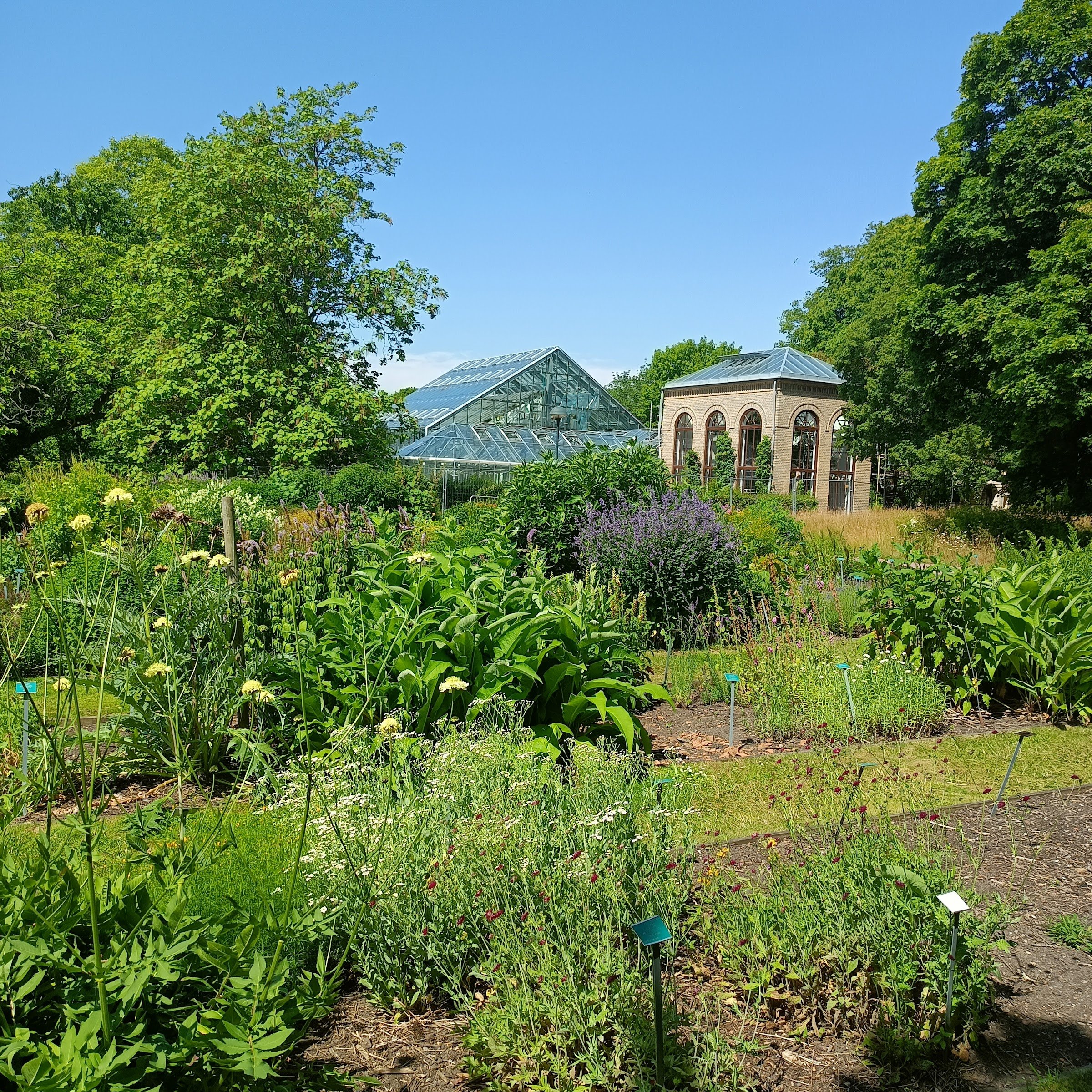 Botaniska trädgården (Lund University Botanical Garden) - Café